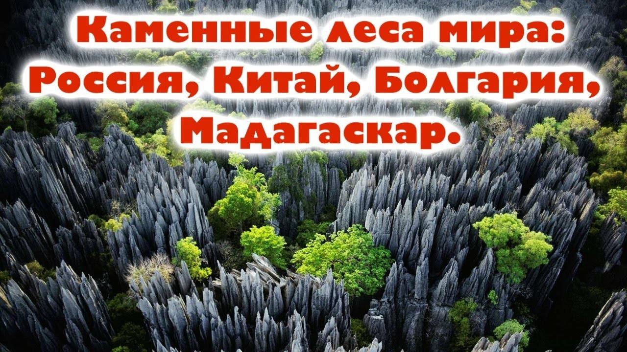 О Чем Молчит Каменный Лес Магазин Путешествий