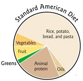 Standart American Diet