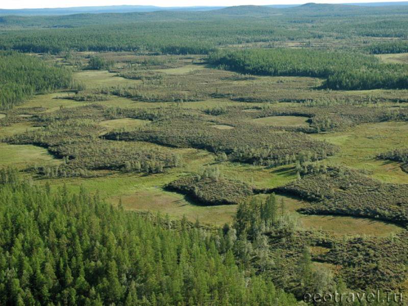 Тунгусский заповедник красноярского края презентация