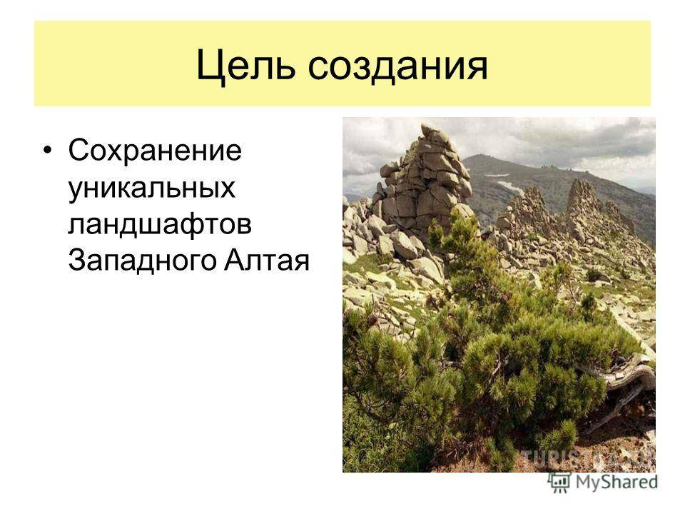 Цель заповедников. Алтайский заповедник цель создания. Алтайский заповедник цель создания заповедника. Тигирекский заповедник. Рельеф Алтайского заповедника для презентации.