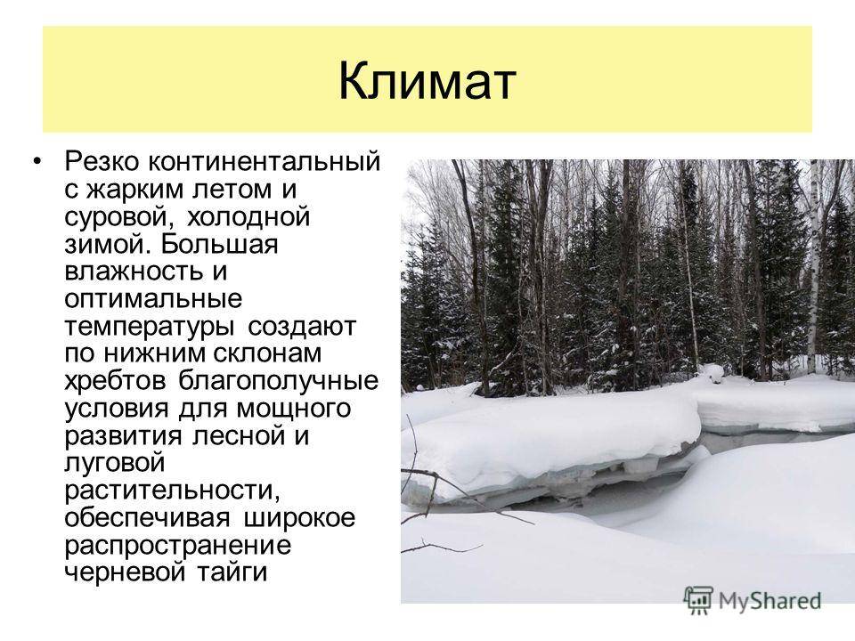 Тип климата зима холодная. Климат резкоконтинента. Резкоконьигенталтный климат. Резко континентальный климат. Умеренный резко континентальный климат.