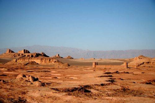 Пустыня сонора - фото и фотографии