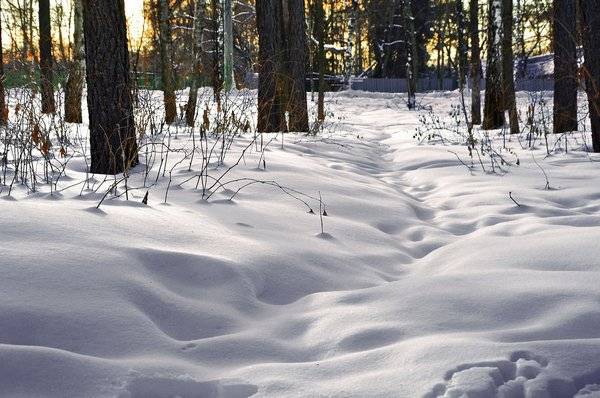 Зима в новогоднюю ночь: синоптики пообещали москвичам похолодание и снег 31 декабря