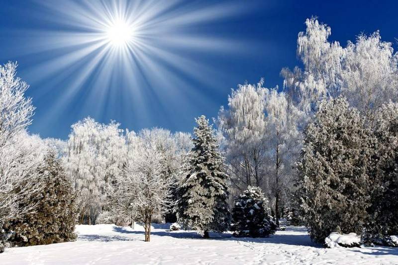 Зима в новогоднюю ночь: синоптики пообещали москвичам похолодание и снег 31 декабря