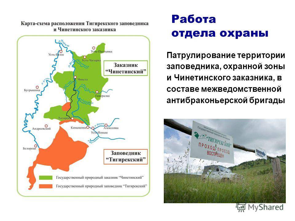 Алтайский заповедник описание по плану