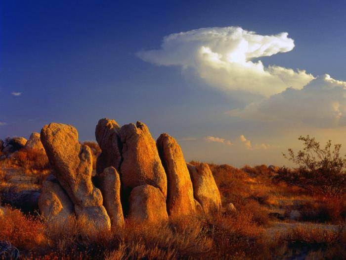 Национальный заповедник пустыня мохаве Стоковые фотографии и лицензионные изображения