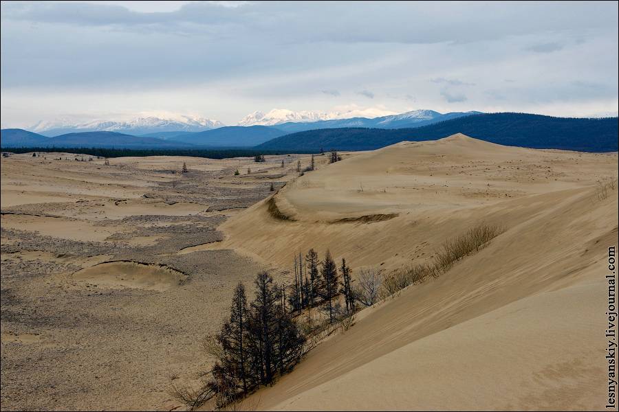 Чарские пески красивые фото